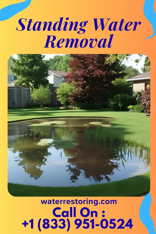 Standing Water Removal in Fox Lake, WI